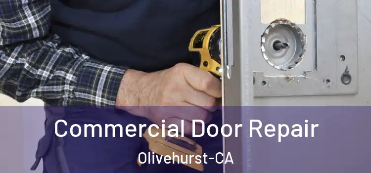  Commercial Door Repair Olivehurst-CA