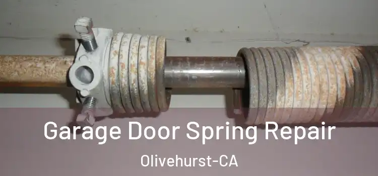  Garage Door Spring Repair Olivehurst-CA