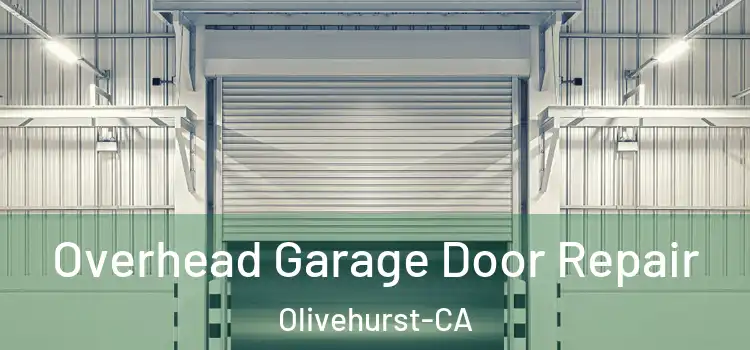  Overhead Garage Door Repair Olivehurst-CA
