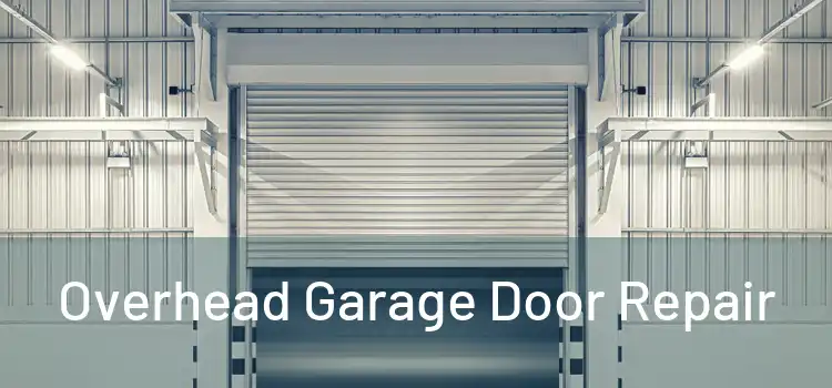  Overhead Garage Door Repair 